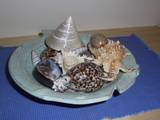 A bowl full of shells