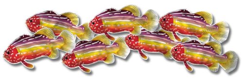 Colorful School of Metal Fish