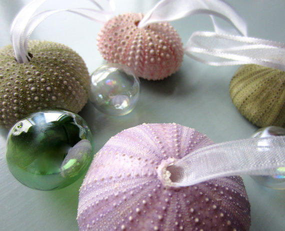 Sea Urchin Christmas Ornament Set