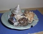 Beach Home Decor Ideas – A Bowl Full Of Shells…