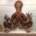 Driftwood Octopus