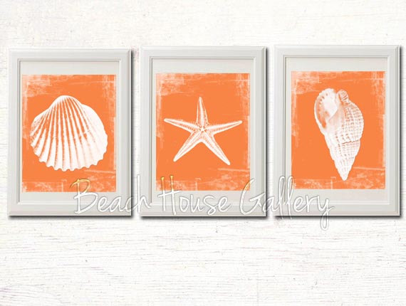 Orange Seashell Prints